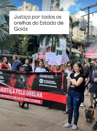Captura de tela 2026 04 12 163712