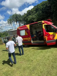 WhatsApp Image 2026 04 10 at 11.33.08