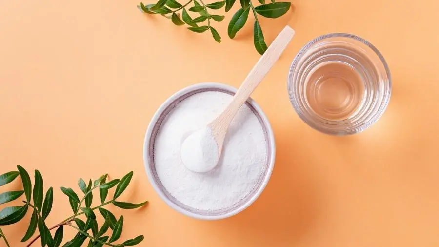 colageno suplemento em po