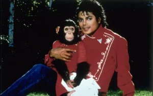 Onde está Bubbles? Chimpanzé de Michael Jackson hoje vive longe da fama