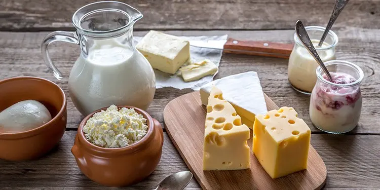 produtos zero lactose artigo verdecampo portalBaldeBranco2020