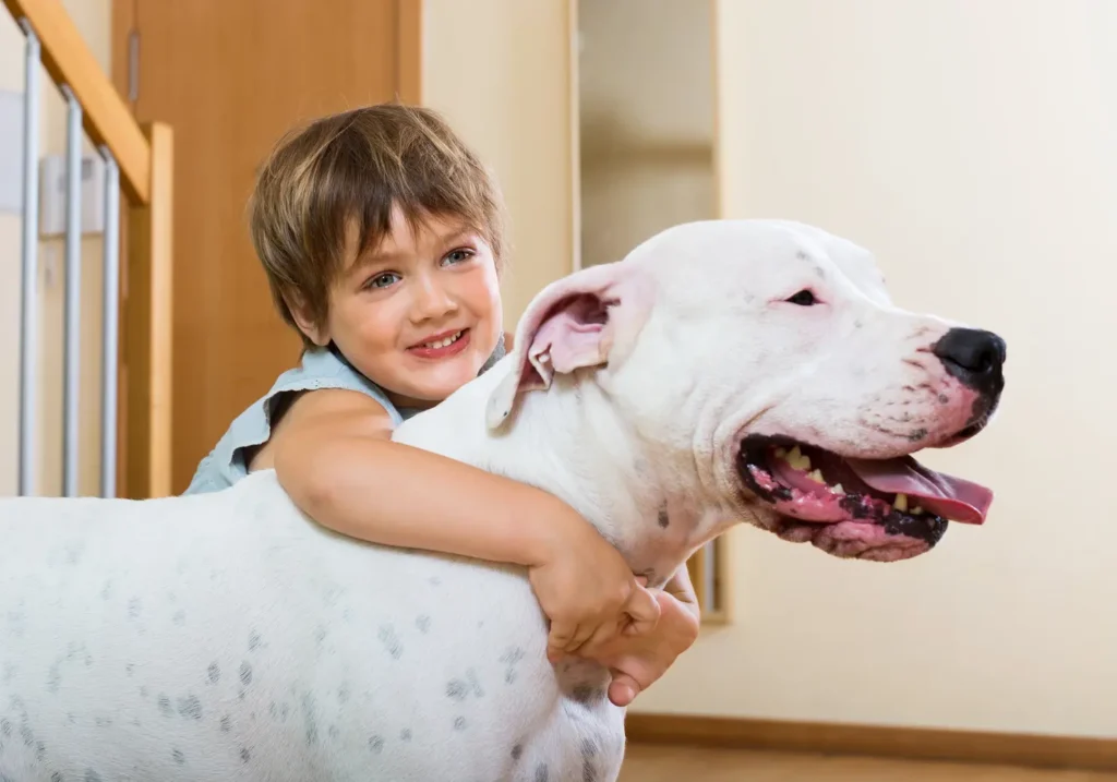 Crianças que crescem com pets podem desenvolver mais empatia, apontam estudos
