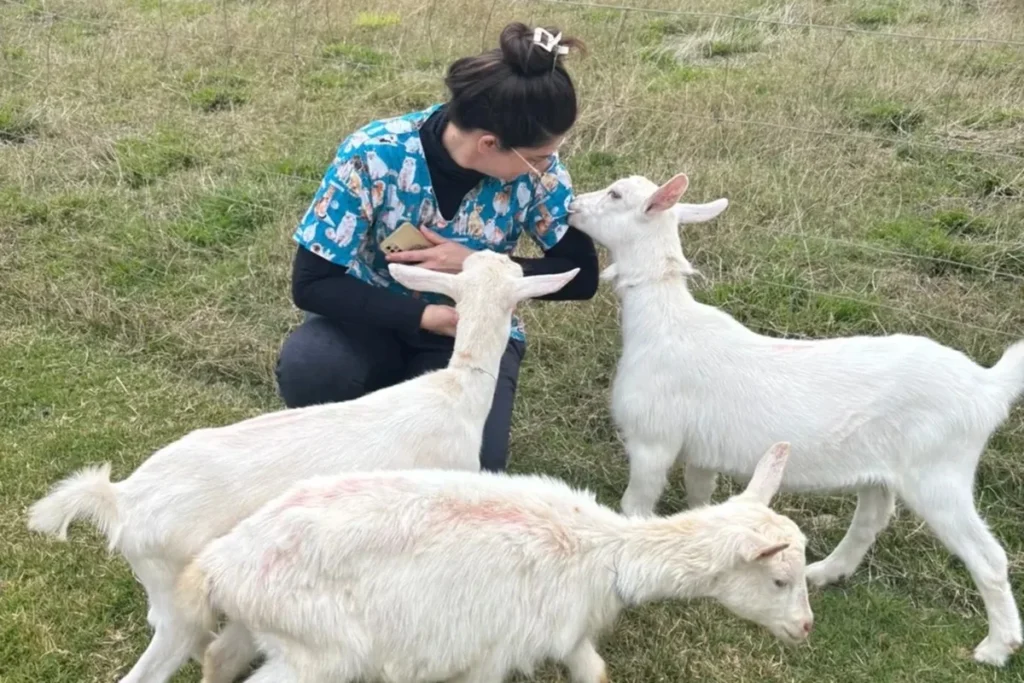 Atriz de Terra Nostra aposta em nova profissão; veja qual 5 tarciana giesen hoje se dedica aos estudos em medicina veterinaria