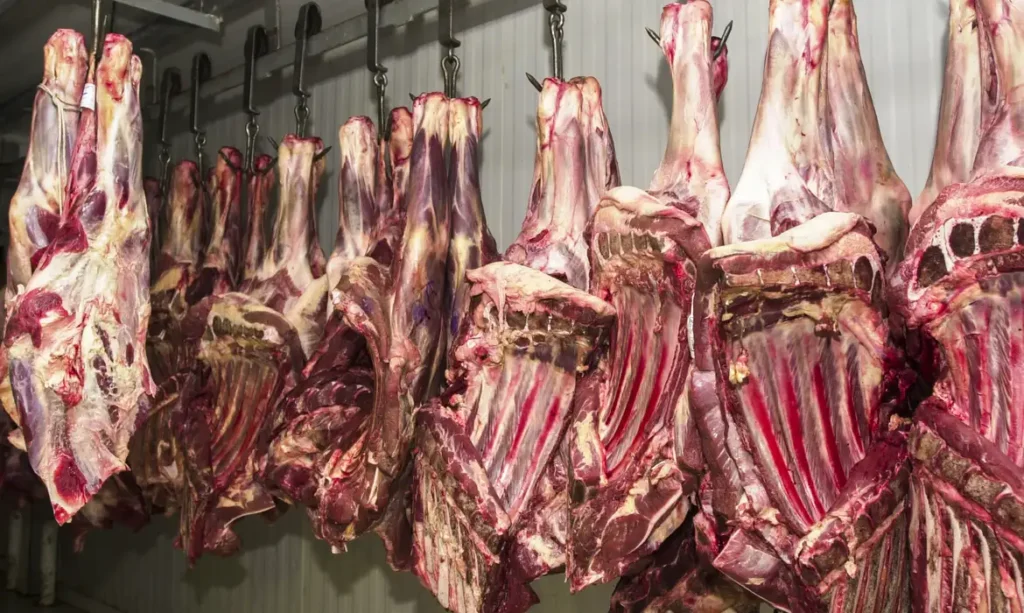 4 abre 1 Exportacao de carne Foto Marcello Casal Jr ABr 1