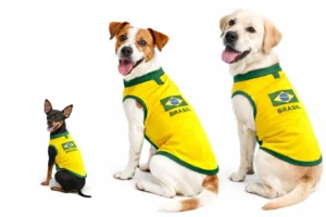 Fogos, gritos e comida: veja cuidados essenciais com pets durante a Copa do Mundo