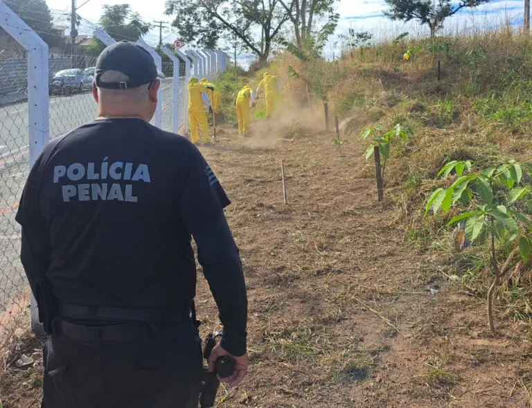 Goiás bate recorde do trabalho de presos e amplia debate sobre ressocialização 2 Presos