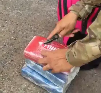 Mãe é presa com 3 kg de cocaína em ônibus na BR-060, em Goiânia