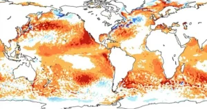 El niño
