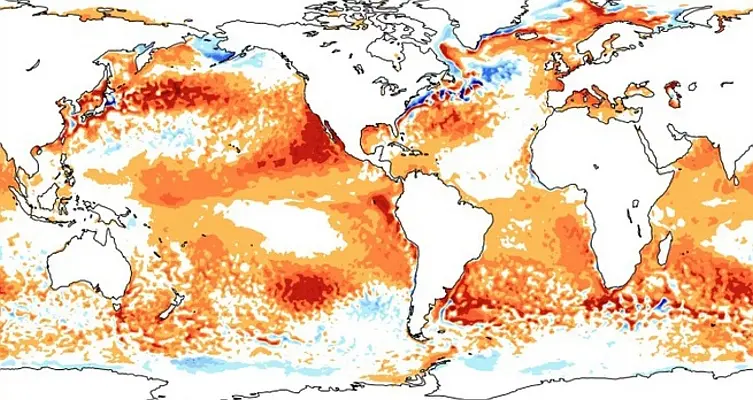 El niño
