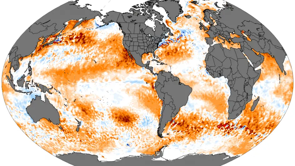 El niño