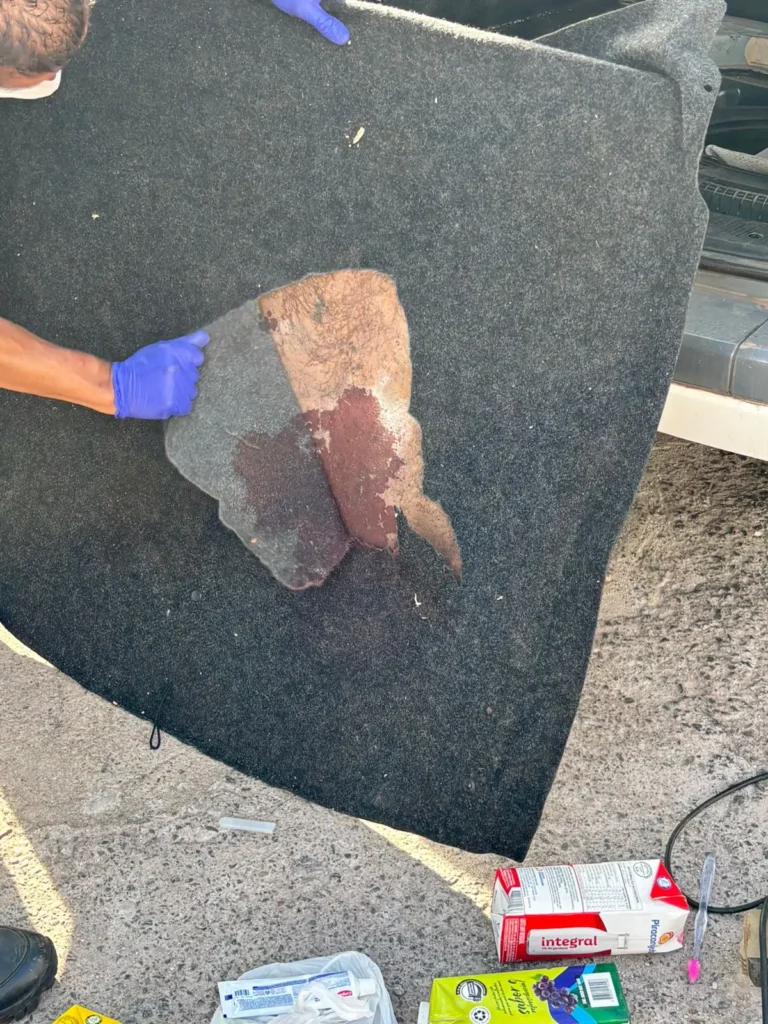 Marcas de sangue encontradas em carro. (Imagem: Polícia Civil)