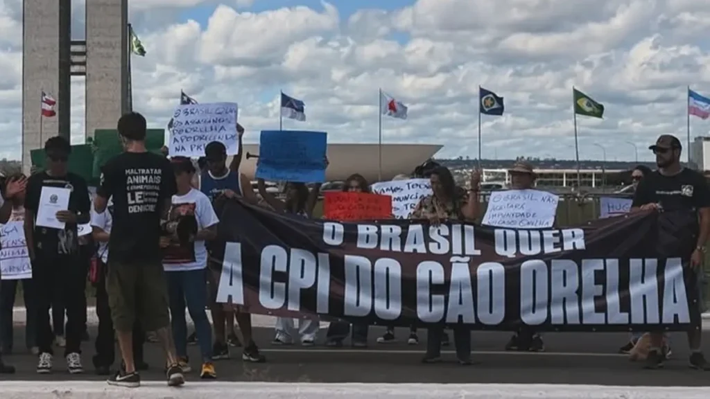 cães