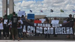 cães