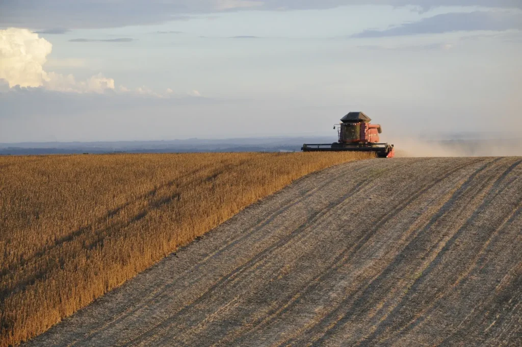 Seguro rural passa a exigir análise ESG e pode dificultar acesso ao crédito no agronegócio