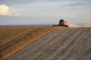 Seguro rural passa a exigir análise ESG e pode dificultar acesso ao crédito no agronegócio