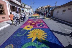 corpus