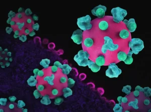 hantavirus