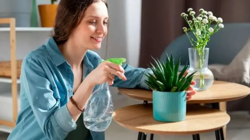 plantas em casa