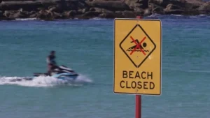 Mulher fica gravemente ferida após ataque de tubarão em praia da Austrália