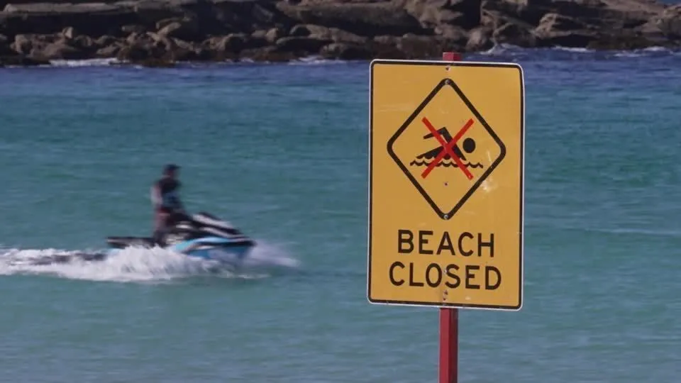 2026 06 13T044206Z 1 LOP853913062026RP1 RTRMADP BASEIMAGE 960X540 AUSTRALIA SHARK