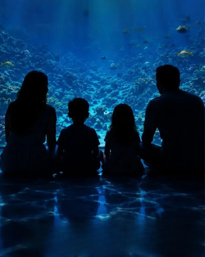 Sem sair de Goiânia: exposição leva visitantes ao fundo do mar em experiência imersiva