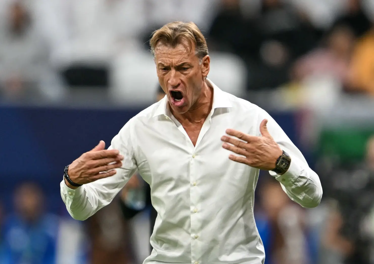 Tunísia anuncia Hervé Renard como novo técnico durante a Copa do Mundo