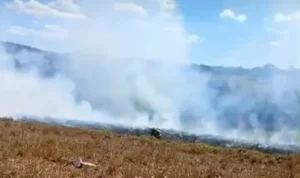 Avião de pequeno porte cai e explode em zona rural de Nerópolis