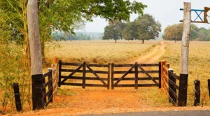 DF lança CEP digital para propriedades rurais e amplia acesso a serviços no campo
