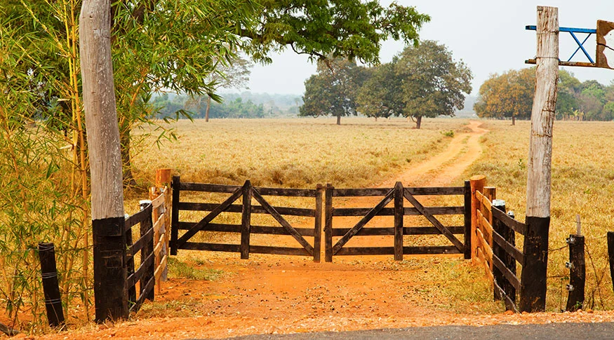 DF lança CEP digital para propriedades rurais e amplia acesso a serviços no campo