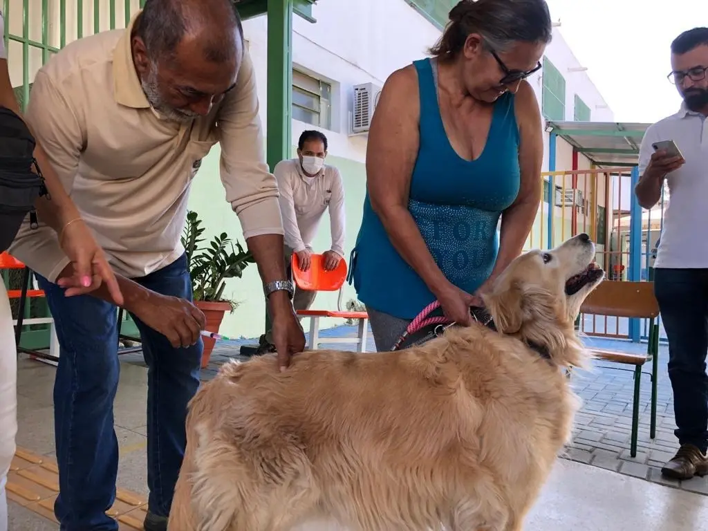 Caso de raiva em gato mobiliza força-tarefa de vacinação em Goiânia