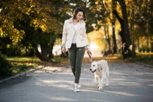 porque o cachorro continua elétrico depois do passeio