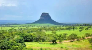 particularidades do cerrado goiano