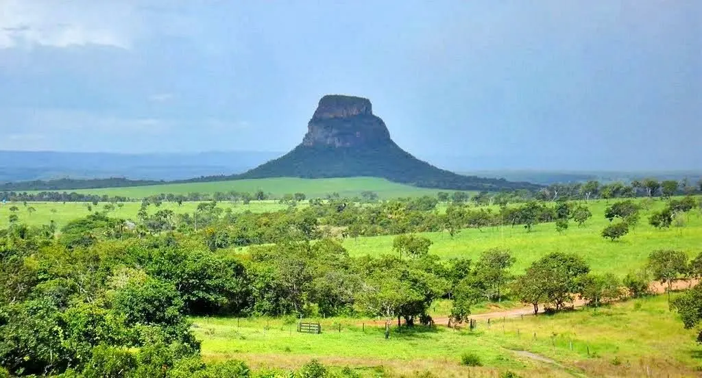 particularidades do cerrado goiano