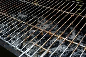 limpar a grelha do churrasco