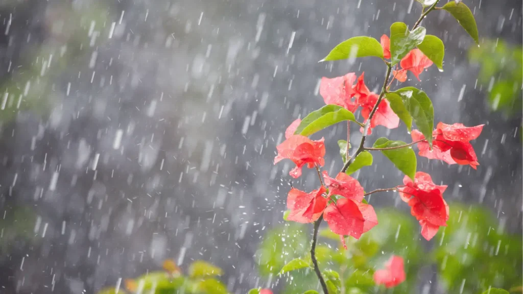 Friozinho continua em Goiânia, mas chuva pode voltar nesta sexta (12)