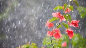 Friozinho continua em Goiânia, mas chuva pode voltar nesta sexta (12)