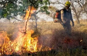 Tempo seco aumenta risco de queimadas e coloca Goiás em alerta