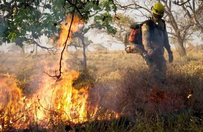Tempo seco aumenta risco de queimadas e coloca Goiás em alerta