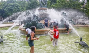 OMS teme "semanas mais mortais" na Europa com temperaturas de até 43°C