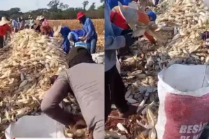 escravidão