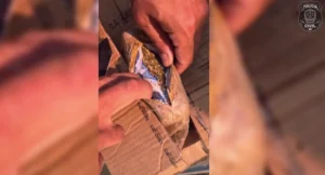 Dupla é presa suspeita de abastecer o tráfico de drogas em Brasília