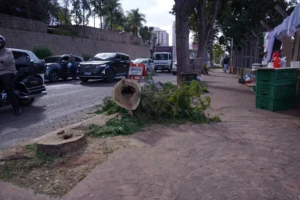 transito