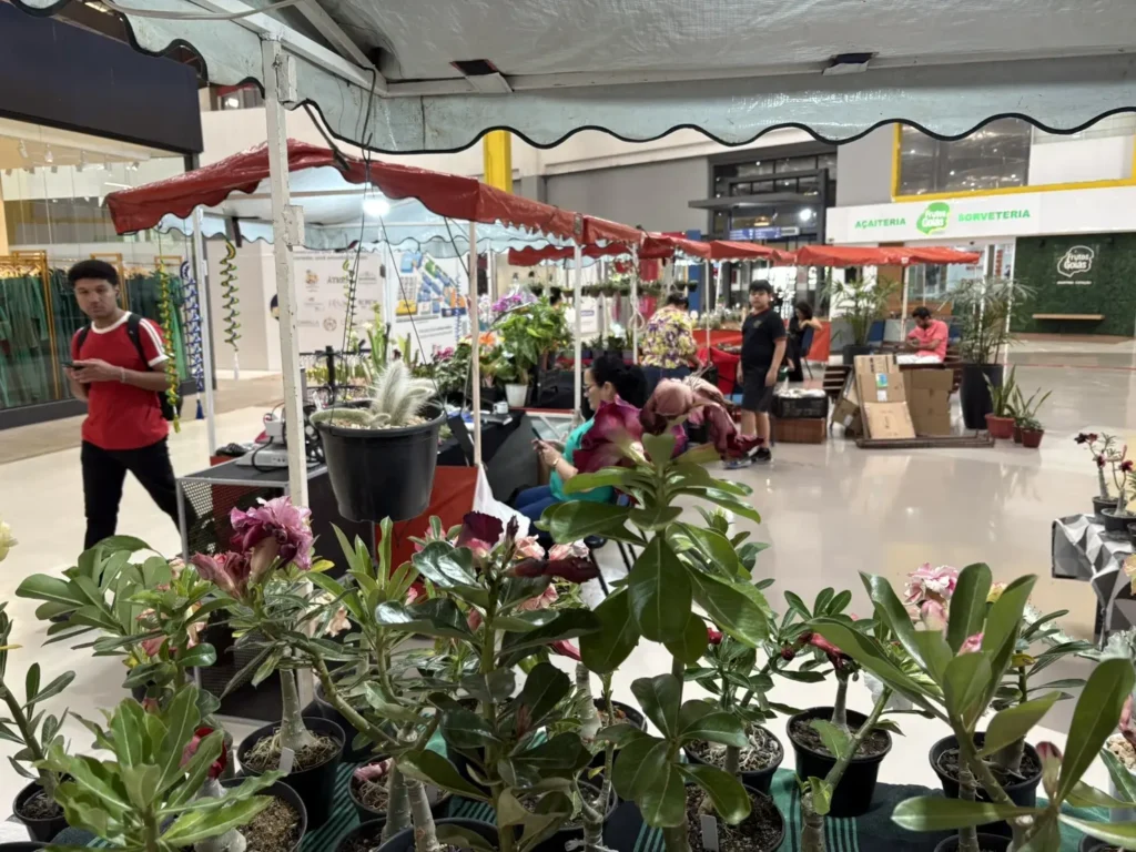 jardinagem