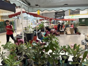 jardinagem