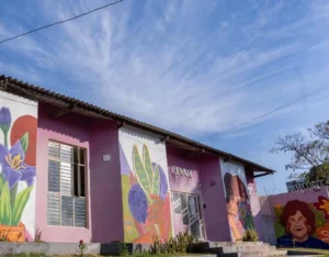 Após 45 anos salvando mulheres, Cevam luta para manter portas abertas