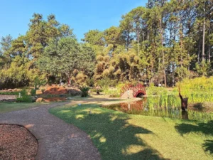 passeios em Brasília