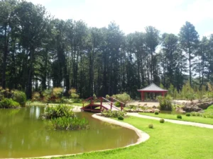 passeio em Brasília