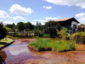 turismo em Brasília