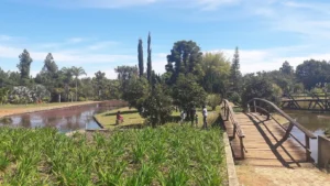 aproveitar Brasília sem gastar muito