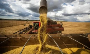 Fome no Brasil: China vai produzir grãos e minérios de que precisar